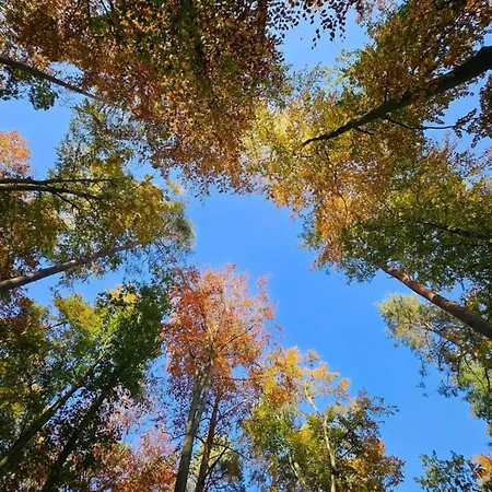 Liebevoll Eingerichtetes *